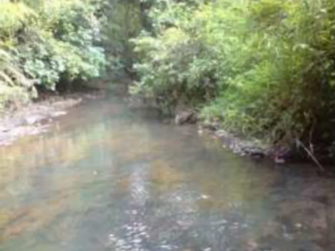 Gambar 4.2. Singkapan OC 02