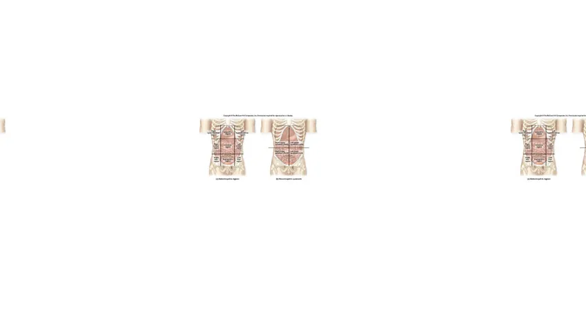 Gambar 2. Pembagian dinding abdomen berdasarkan regio dan kwadranGambar 2. Pembagian dinding abdomen berdasarkan regio dan kwadran