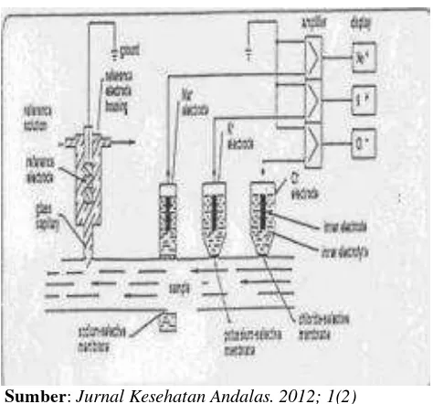 Gambar 5. Prinsip pengukuran elektrolit dengan metode ISE 