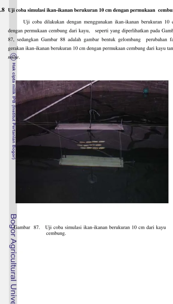 Gambar  87.   Uji coba simulasi ikan-ikanan berukuran 10 cm dari kayu  cembung. 