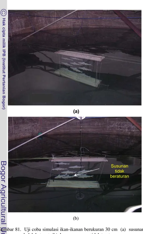 Gambar 81.  Uji coba simulasi ikan-ikanan berukuran 30 cm  (a)  susunan     belah ketupat  (b) dengan susunan tidak teratur