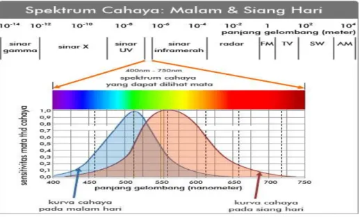 Gambar 1. Spektrum Cahaya 