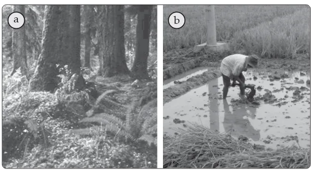 Gambar 2.5 (a) Tidak menebang pohon di hutan sembarangan dan (b) mengolahlahan pertanian dengan baik merupakan wujud usaha manusia untukmenjaga kelestarian alam.Sumber: Dokumen Penerbit