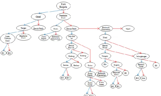 Gambar 2. Struktur Bayesian Network Diagnosa Penyakit Kulit Akibat Infeksi Jamur 