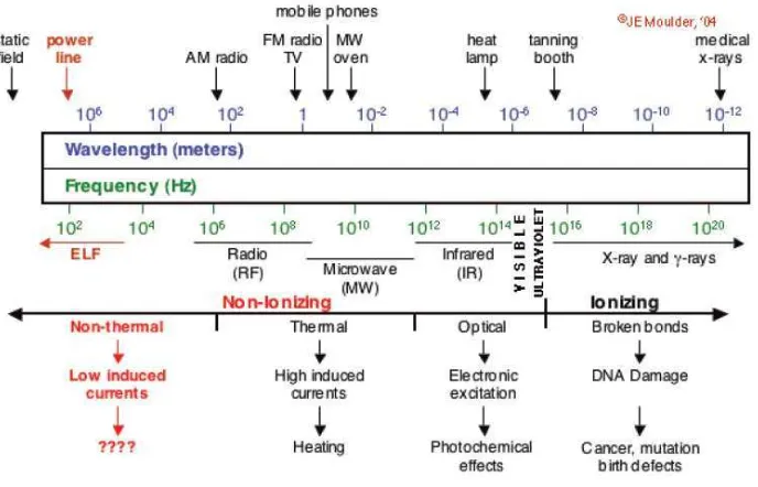 Gambar 4. Skema Gelombang Elektromagnetik (Surya, 2010b) 