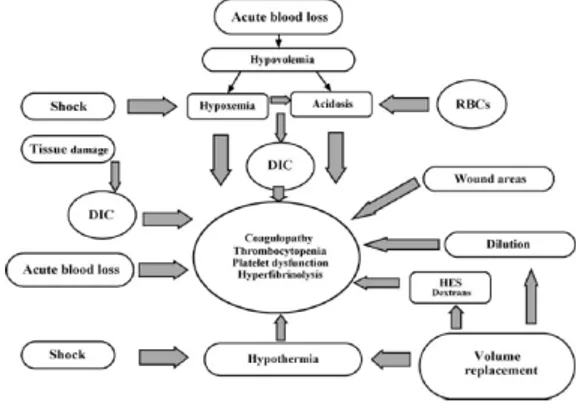 Diagram 1. Mekanisme Gangguan Hemostasis  pada Transfusi Masif 4