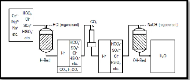 Gambar 4. Demineralization treatment 