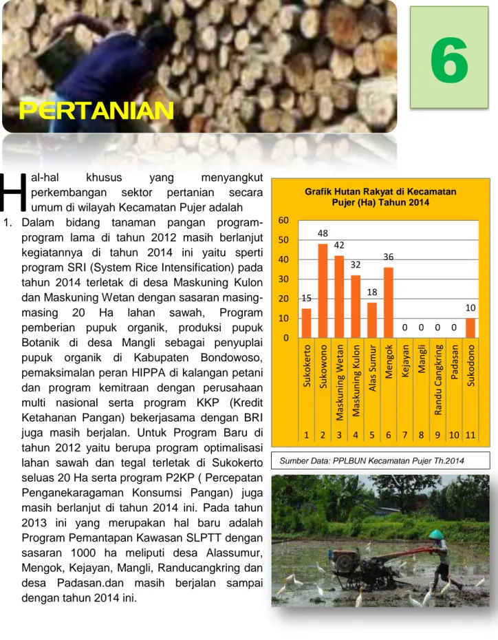 Grafik Hutan Rakyat di Kecamatan  Pujer (Ha) Tahun 2014 