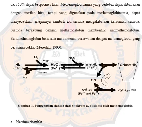 Gambar 1. Penggantian sianida dari sitokrom a3 oksidase oleh methemoglobin 