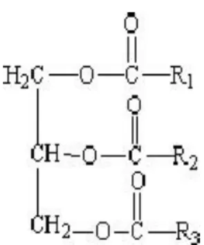 Gambar 3.3. Struktur kimia trigliserida 