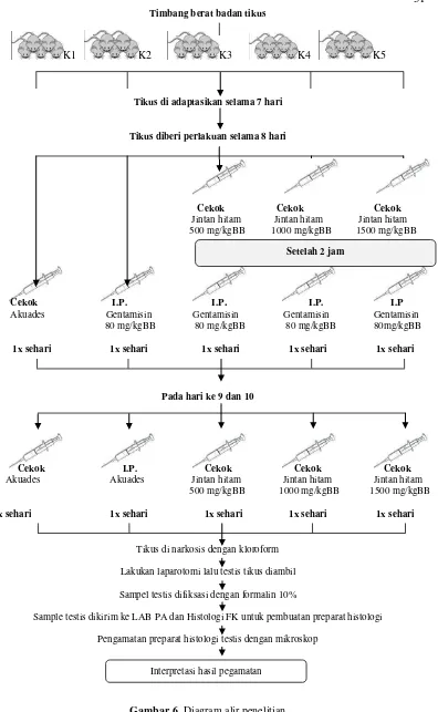 Gambar 6. Diagram alir penelitian 