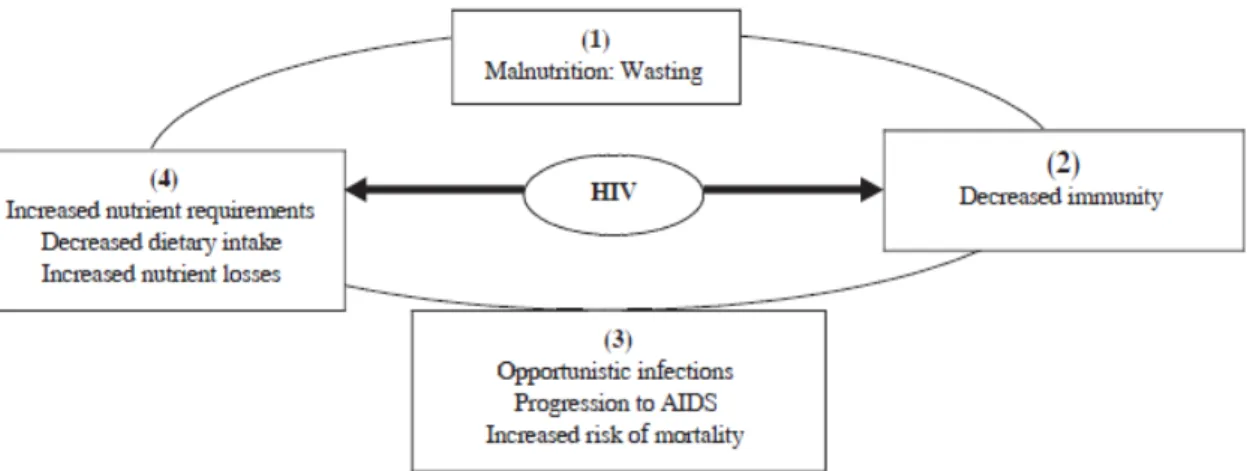 Gambar 2-1. Hubungan antara infeksi HIV/AIDS, malnutrisi, dan infeksi. 10