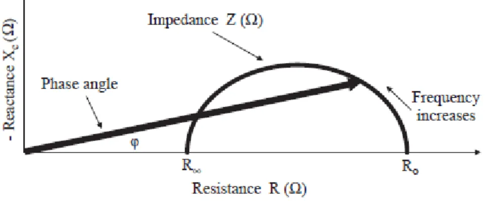 Gambar  2-5. Diagram sumber penetapan nilai phase angle; merupakan hubungan antara  resistance (R), reactan (Xc), impedance (Z), dan frekuensi arus yang digunakan.