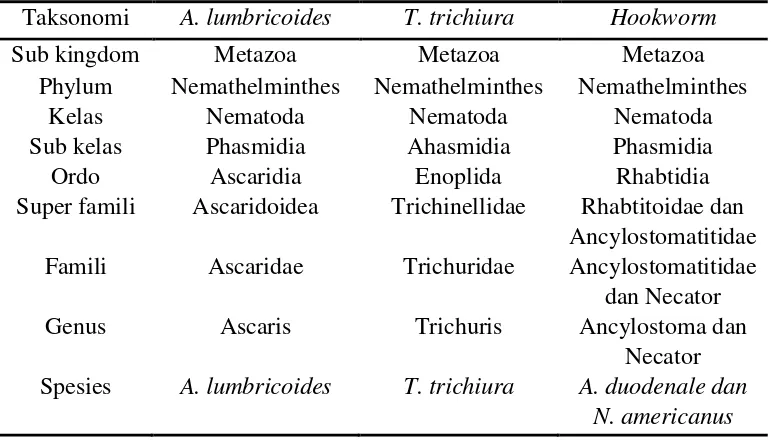 Tabel 1. Taksonomi Soil Transmitted Helminth (STH) 
