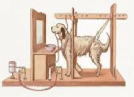 Gambar 9. Percobaan Ivan Petrovich Pavlov pada Seekor Anjing  Dari eksperimen yang dilakukan Pavlov terhadap seekor anjing  menghasilkan hukum-hukum belajar, diantaranya; 