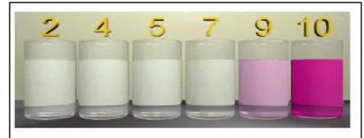 Gambar 1. Perubahan Warna Indikator PP, dari pH 8,3-10 