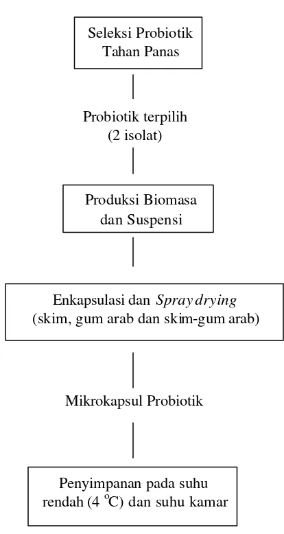 Gambar 1  Diagram alir enkapsulasi probiotik dengan metode spray drying 