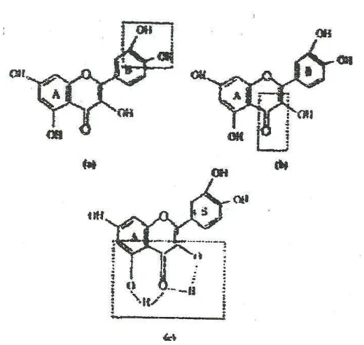 Gambar 5.  Struktur flavonoid berfungsi sebagai anti-oksidan 