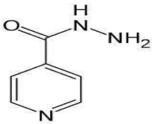 Gambar 7.  Struktur Isoniazid (INH) 