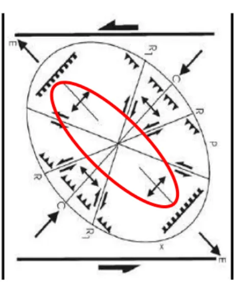 Gambar 12. Pemodelan Struktur Lipatan Antiklin Daerah Penelitian (Riedhel Shear, 1929)