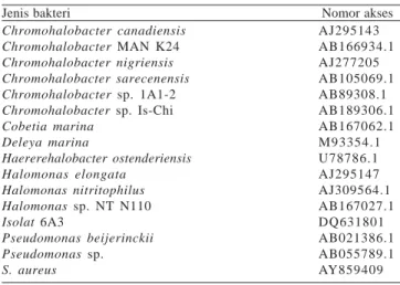 Tabel 1. Jenis dan nomor akses bakteri yang digunakan untuk penyusunan pohon filogenetik berdasarkan gen 16S rRNA Jenis bakteri                                                               Nomor akses Chromohalobacter canadiensis Chromohalobacter  MAN K24