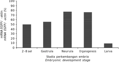 Figure 4. EGFP level expression in stripped catfish P. hypophthalmus embryo and larvae