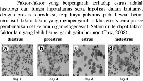 Gambar 2.1 Penampakan sel-sel di jaringan epitel vagina tikus putih  saat siklus estrus 