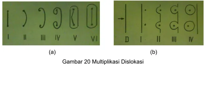 Gambar 20 Multiplikasi Dislokasi 