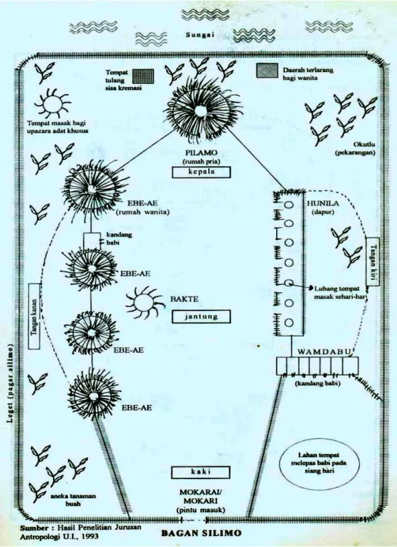 Gambar 4. Bagan silimo suku Dani Sumber: epository.binus.ac.id