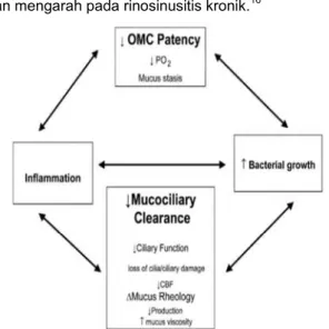 Gambar 1. Siklus patologis RSK 13