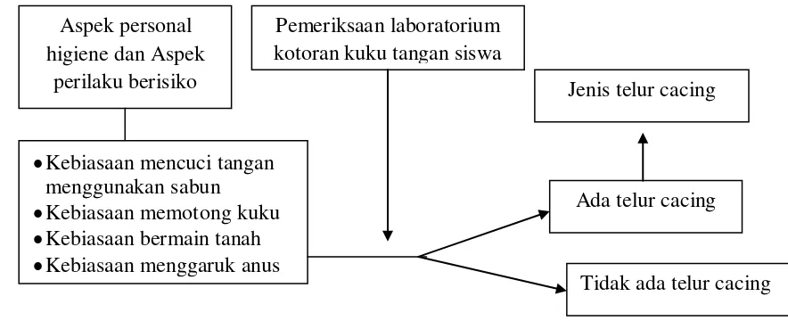 Gambar 2.Kerangka Konsep 