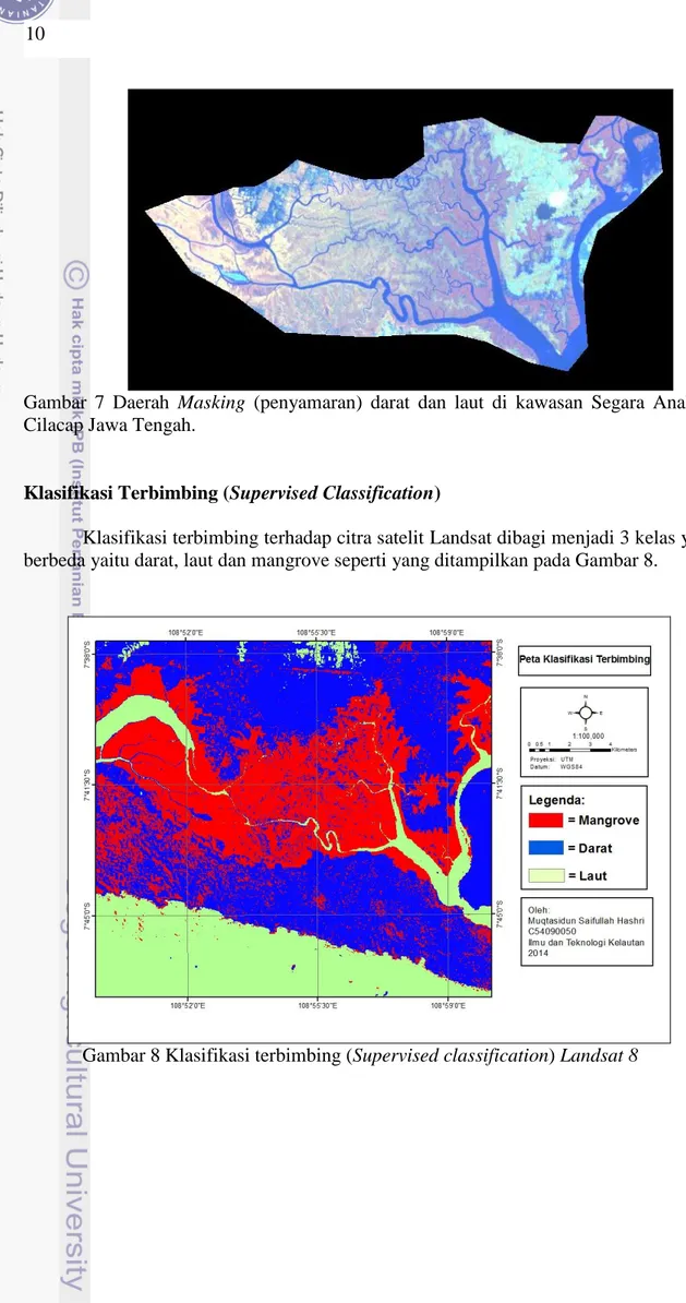 Gambar  7  Daerah  Masking  (penyamaran)  darat  dan  laut  di  kawasan  Segara  Anakan,  Cilacap Jawa Tengah