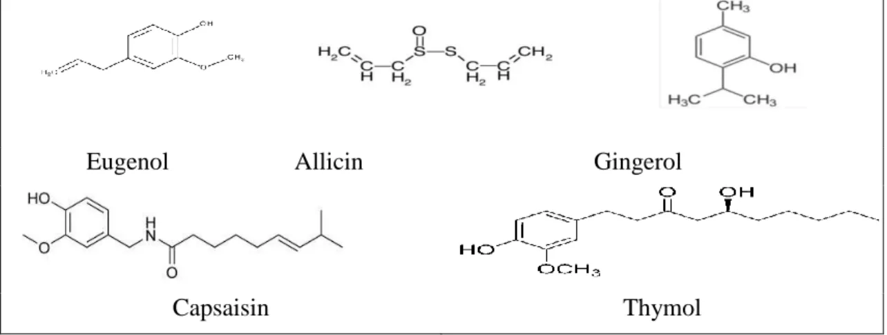 Gambar 1. Contoh Struktur Molekul Senyawa Antibakteri 