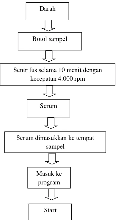 Gambar 6. Proses pemeriksaan trigliserida Sumber : (Dewi, 2011) 