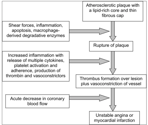 Gambar 1: Pathogenesis unstable plaque dan pembentukan thrombus