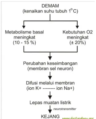 Gambar 1. Mekanisme terjadinya kejang demam 