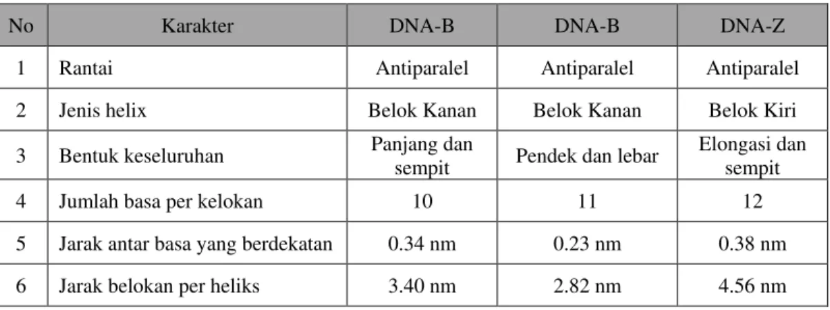 Tabel 1.1 Perbedaan antara DNA-A,  DNA-B dan  DNA-Z 