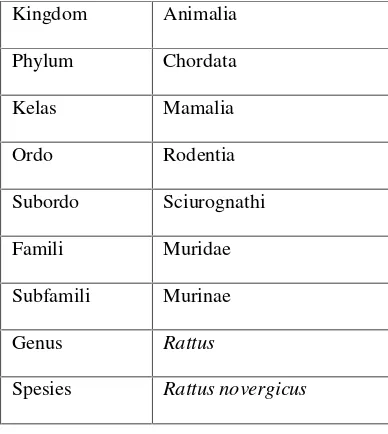 Tabel 2. Klasifikasi Tikus Putih