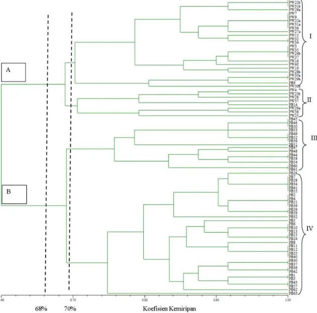 Gambar  1. Dendogram 82 tanaman jambu mete dengan 8 karakter morfologi berdasarkan koefisien kemiri- kemiri-pan Simple Matching dan metode UPGMA