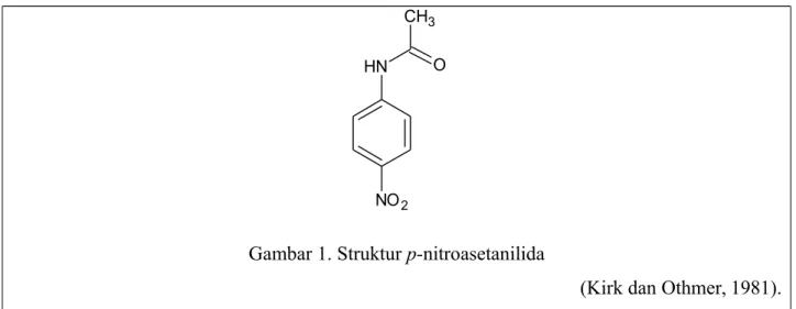 Gambar 1. Struktur p-nitroasetanilida