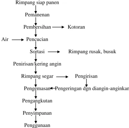 Diagram 1.Alur Penanganan pasca panen kencur 