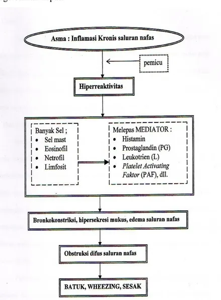 Gambar 2 Patofisiologi Asma 7 
