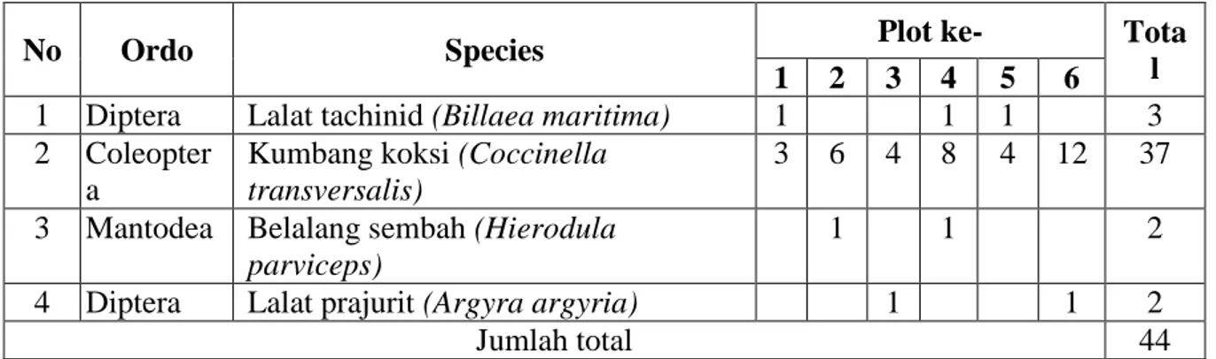 Tabel 4.7 Distribusi Jenis Musuh Alami (Predator) 