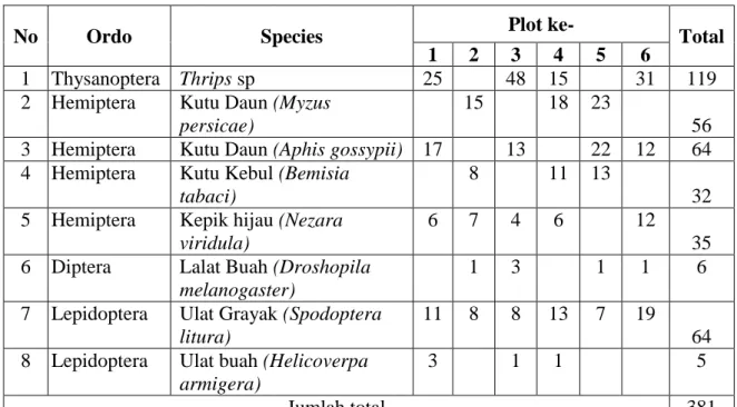 Tabel 4.2 Distribusi Jenis Hama Serangga 