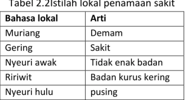 Tabel 2.2Istilah lokal penamaan sakit  Bahasa lokal  Arti 