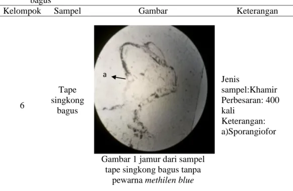 Tabel 1  Hasil pengamatan isolasi dan morfologi jamur dari sampel tape singkong bagus 