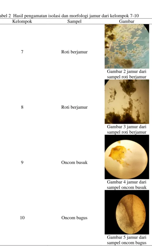 Tabel 2  Hasil pengamatan isolasi dan morfologi jamur dari kelompok 7-10 