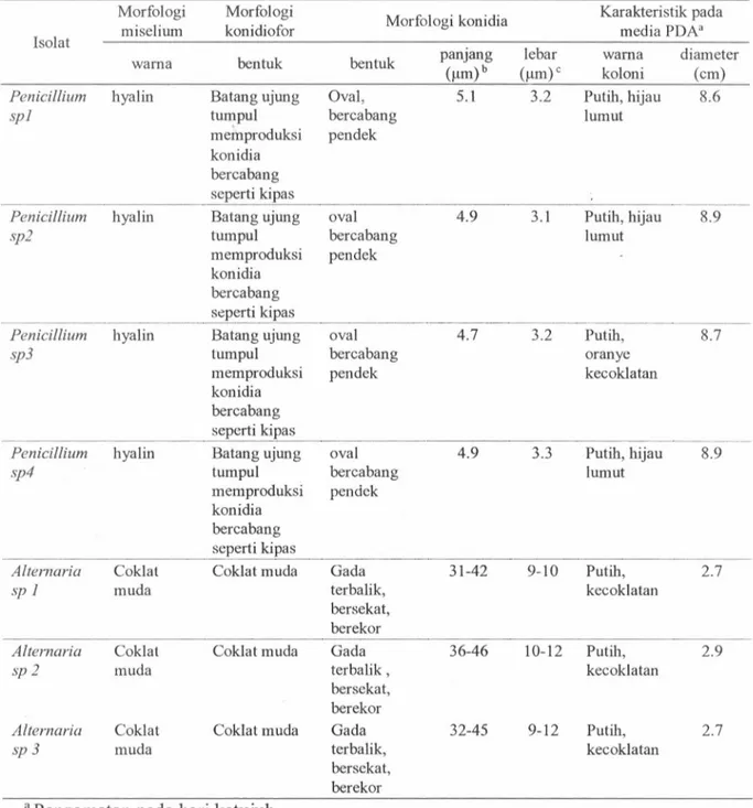 Tabel l. Karakteristik isolat Penicillium sp. dan Alternaria sp.