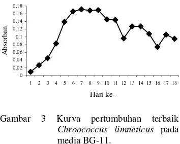 Gambar 1 Chroococcus limneticus perbesaran                    500x. 