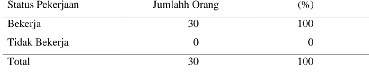 Tabel 11   Jumlah dan Persentase Responden Menurut Status Pekerjaan       Kelurahan Pasir Mulya Tahun 2011 